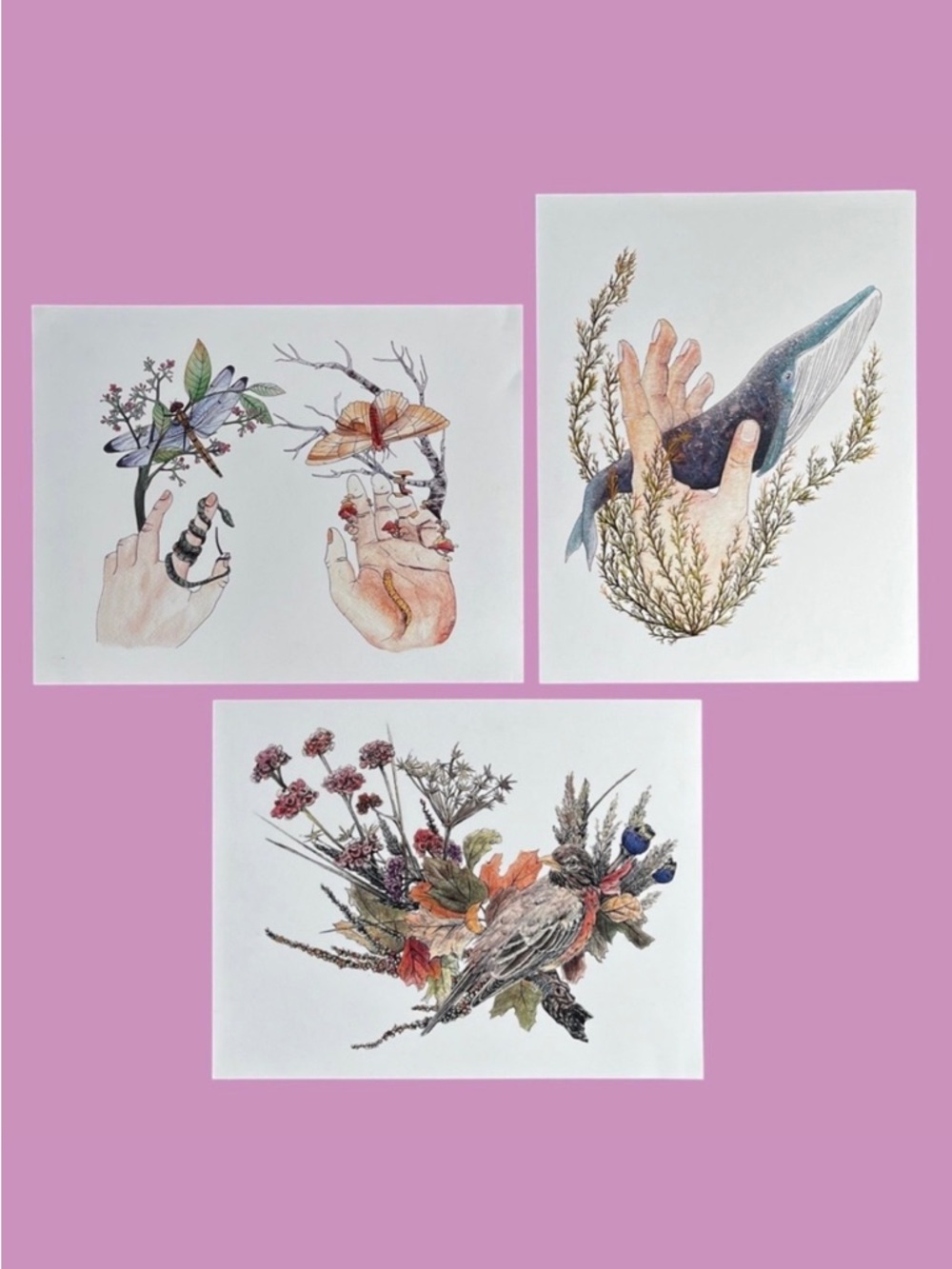 Watercolour Art Prints